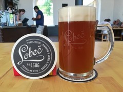 Pivo