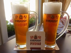 Pivo