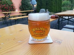Pivo