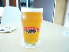 Pivo