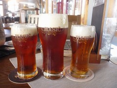 Pivo