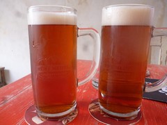 Pivo