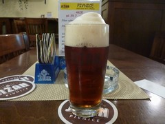 Pivo