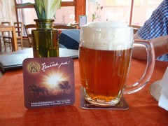 Pivo
