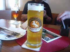 Pivo