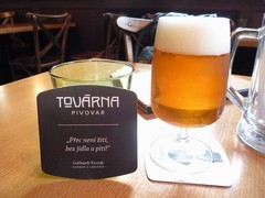 Pivo