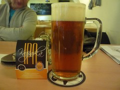 Pivo