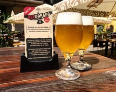 Pivo