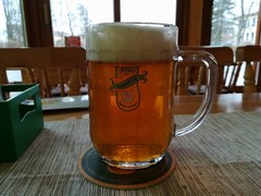 Pivo
