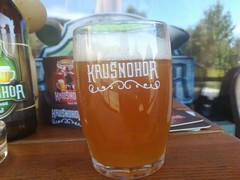 Pivo