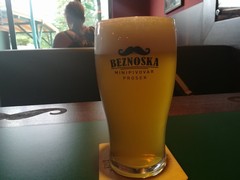 Pivo