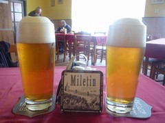 Pivo