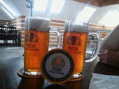 Pivo