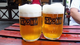 Pivo