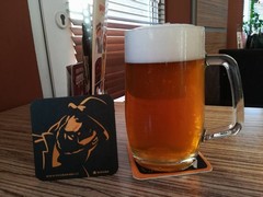 Pivo