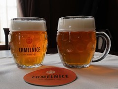 Pivo