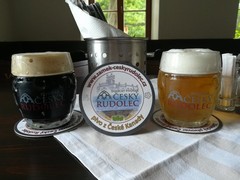 Pivo