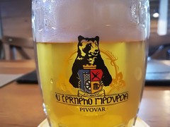 Pivo