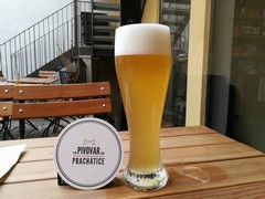 Pivo