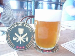 Pivo