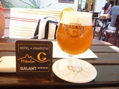 Pivo