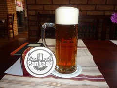 Pivo