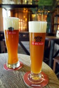 Pivo