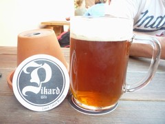 Pivo