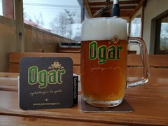Pivo
