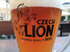 Pivo