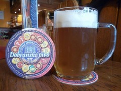 Pivo