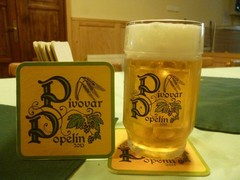 Pivo