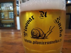 Pivo