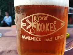 Pivo