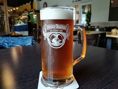 Pivo