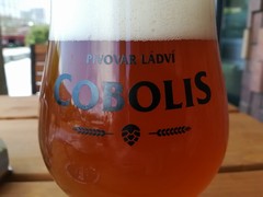 Pivo