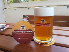 Pivo