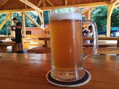 Pivo