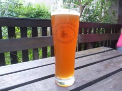 Pivo