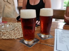 Pivo