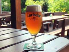 Pivo
