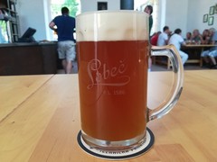 Pivo