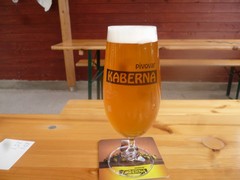 Pivo