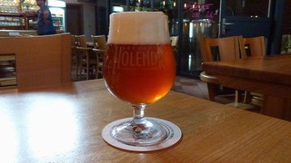 Pivo