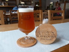 Pivo