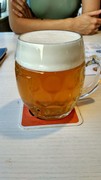 Pivo