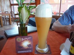 Pivo