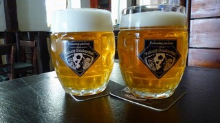 Pivo