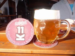Pivo
