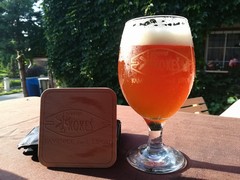 Pivo